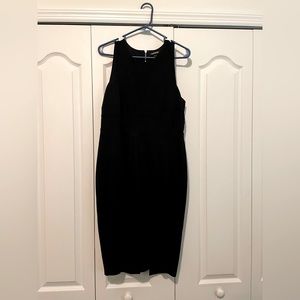 Express fitted dress with back detail zipper